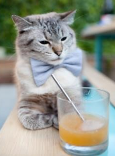 防线之盾与东亚铁壁,阿坎吉全能闪耀映衬韩国封锁乌克兰战术精粹