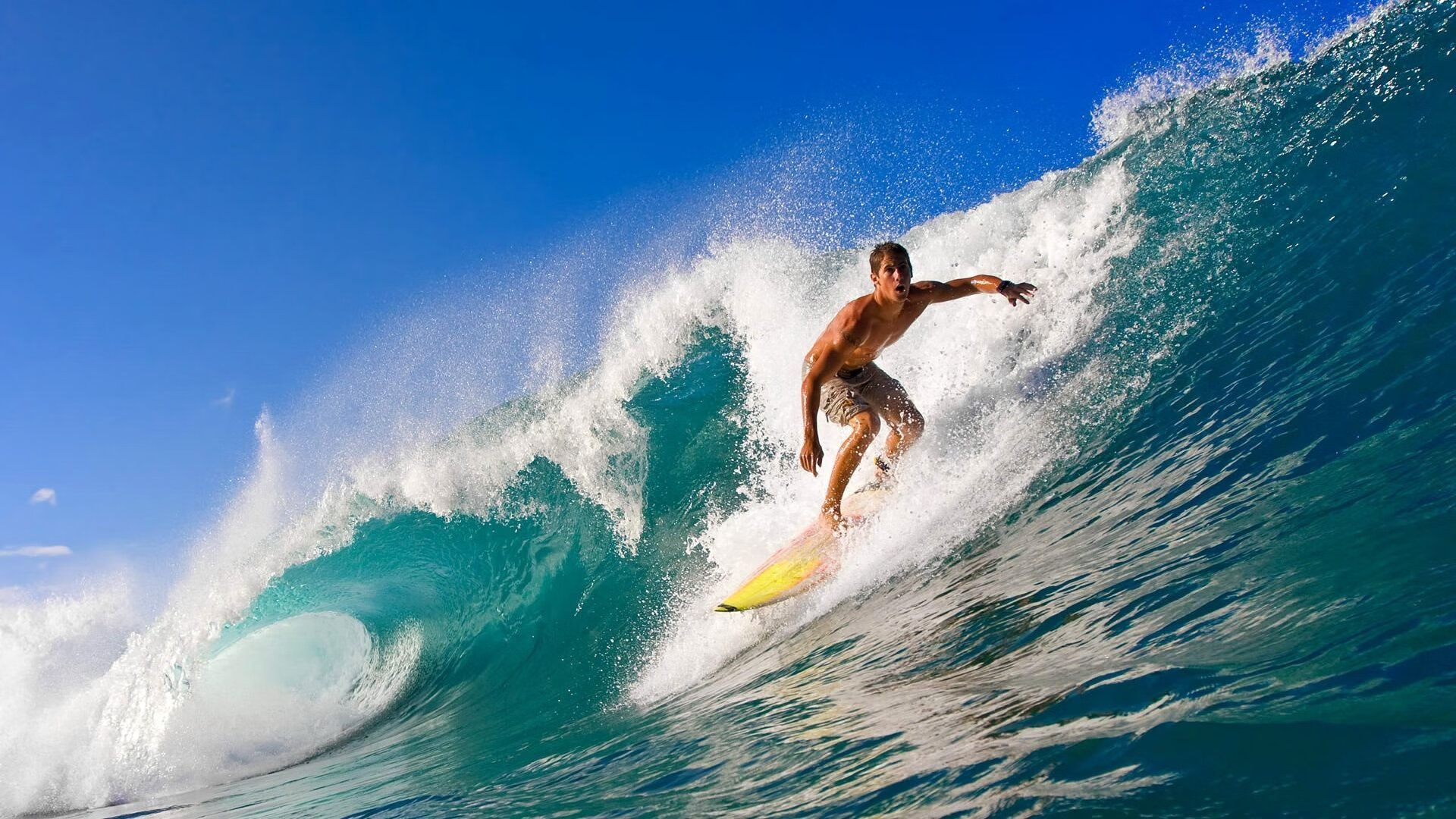 公牛逆转广厦队，西亚卡姆成关键先生，一场跨越文化的篮球对话